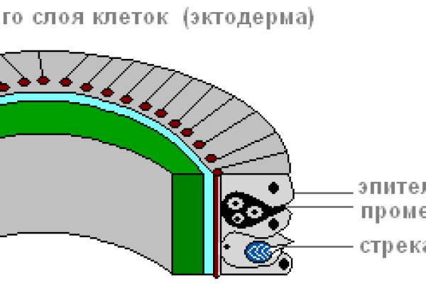 Vk6 at kraken