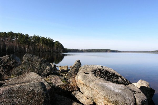 Ссылки для даркнета