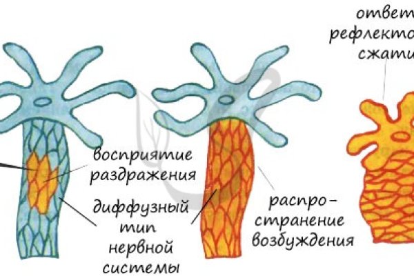 Kra34.cc